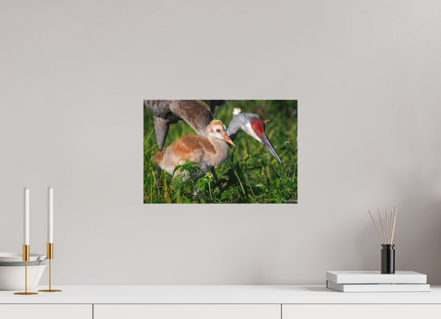 15 x 10″, Canvas "Guiding the Next Generation" - Sandhill Cranes