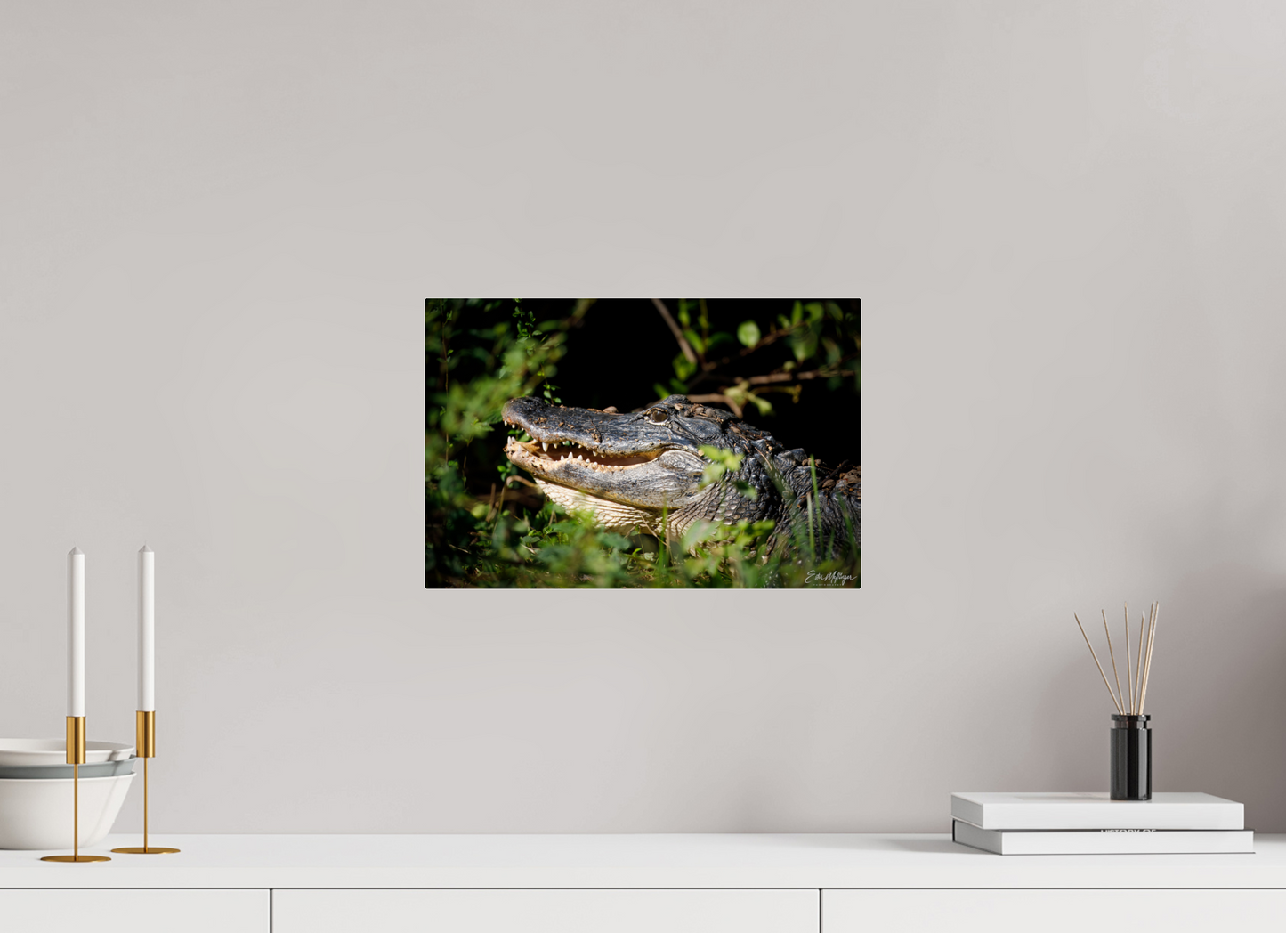 15 x 10″, Acrylic "At the Water's Edge" - American Alligator