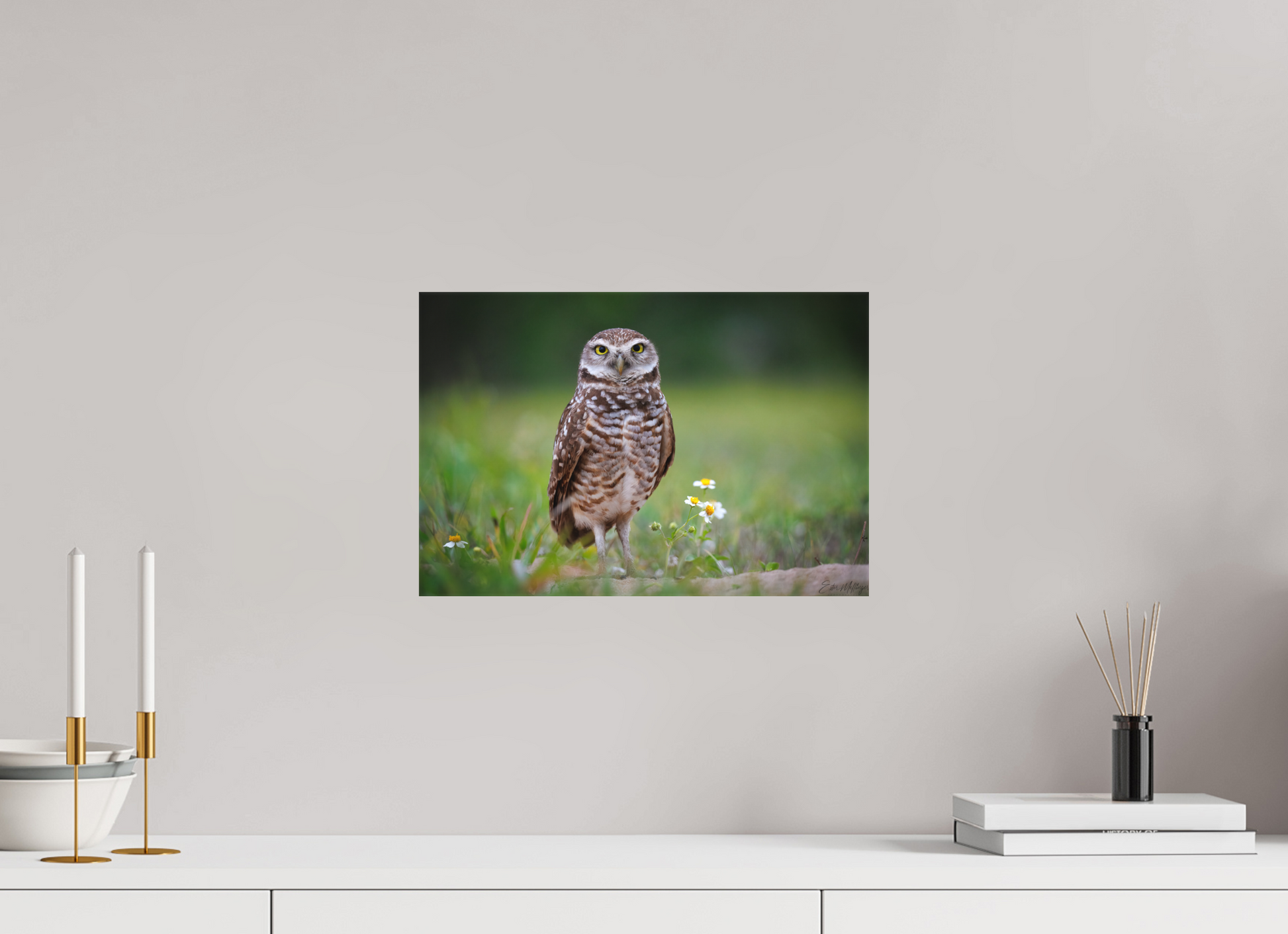 15 x 10″, Canvas "The Watcher" - Burrowing Owl