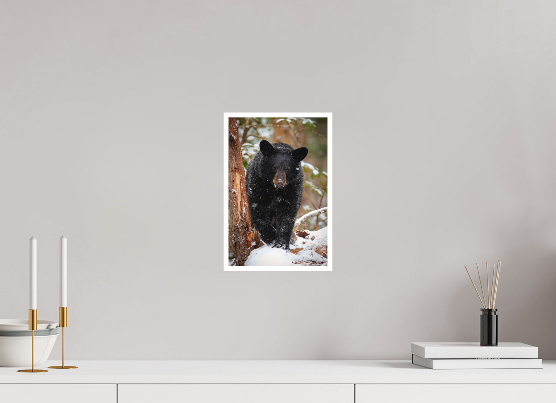 8 x 12″, Fine art print "Steps Through Snow" - Black Bear