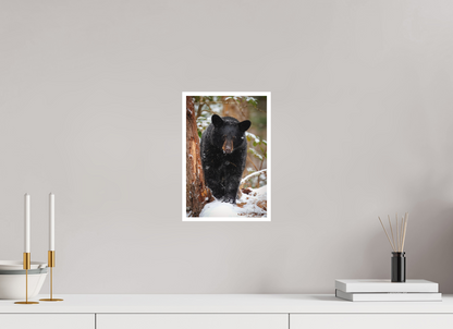 8 x 12″, Fine art print "Steps Through Snow" - Black Bear