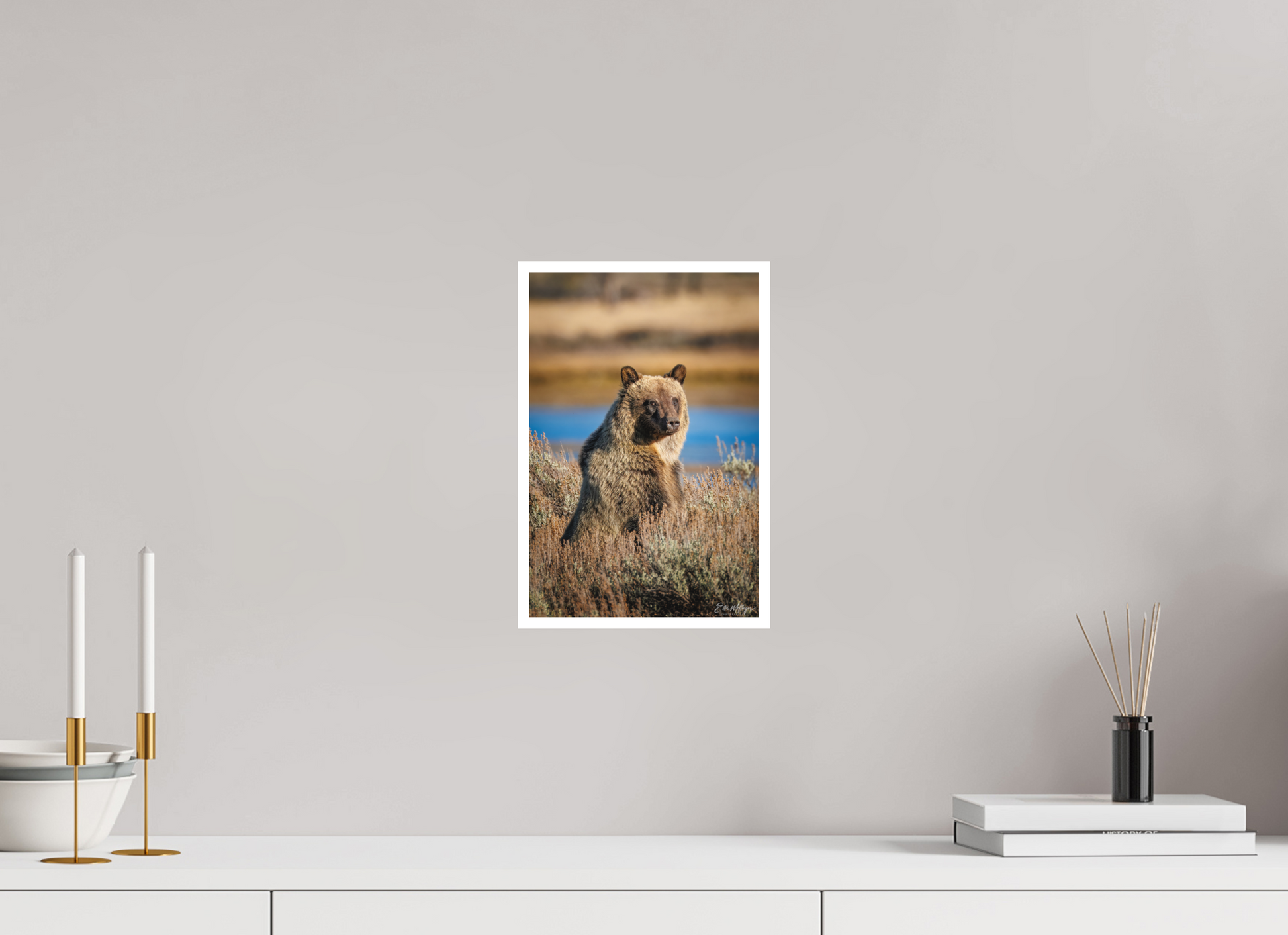 8 x 12″, Fine art print "River Watch" - Grizzly Bear