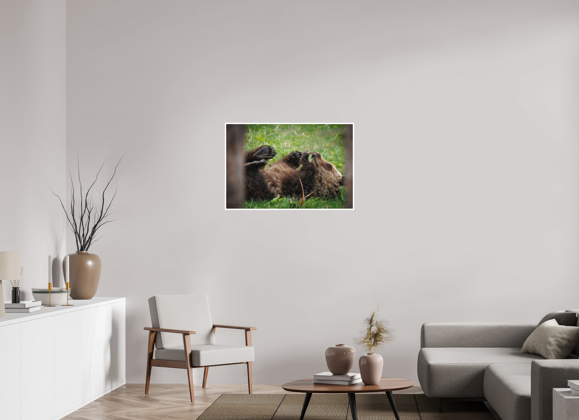 36 x 24″, Fine art print "Gentle Discovery" - Grizzly Bear