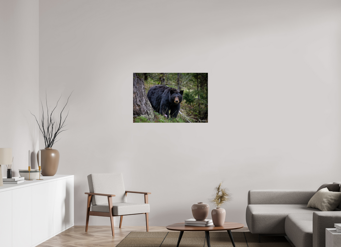 36 x 24″, Metal "Silent Gaze" - Black Bear