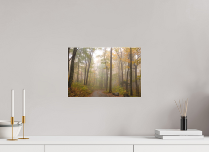 15 x 10″, Canvas "Where the Road Disappears" - Smoky Mountains