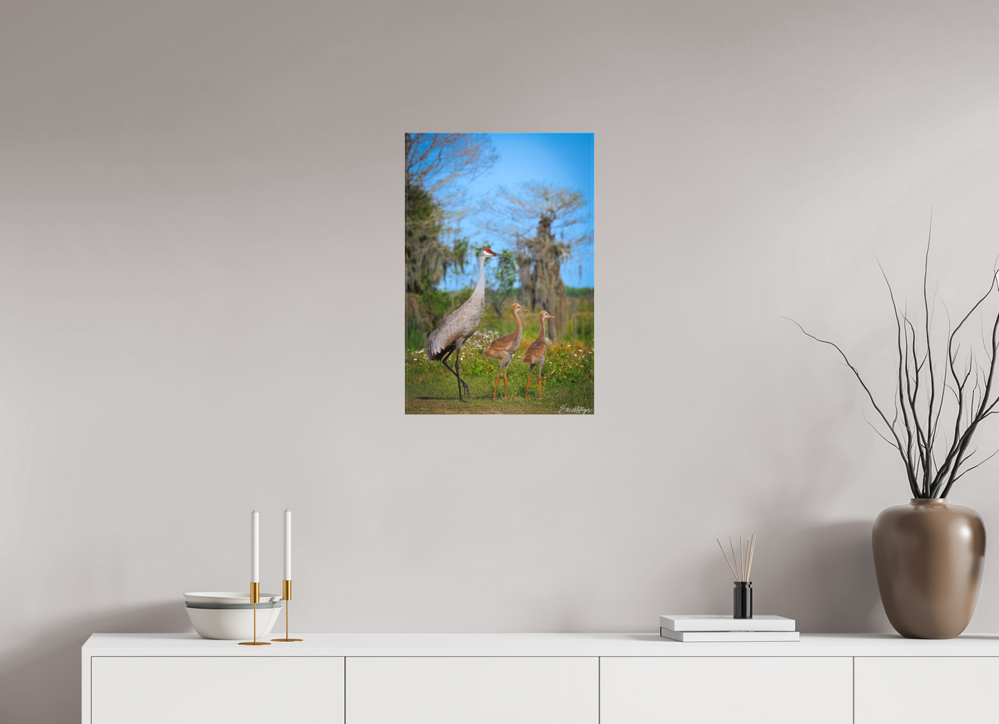 16 x 24″, Canvas "Wetland Wanderers" - Sandhill Cranes
