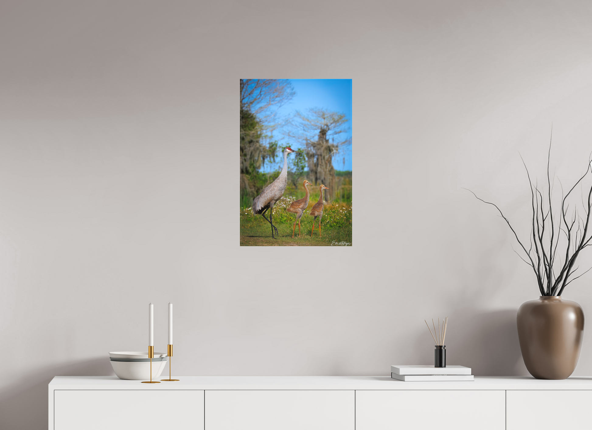 16 x 24″, Canvas "Wetland Wanderers" - Sandhill Cranes