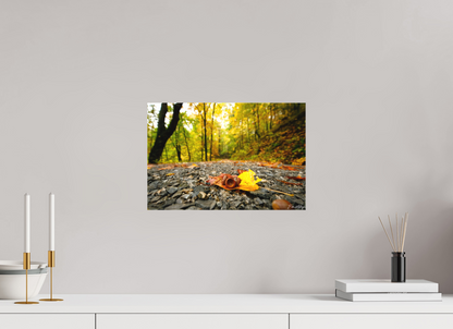 15 x 10″, Canvas "The Long Way Home" - Cades Cove