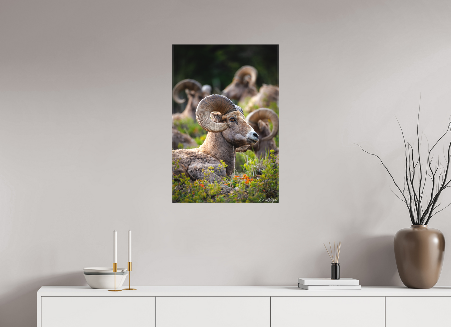 20 x 30″, Canvas "High Watch" - Bighorn Sheep