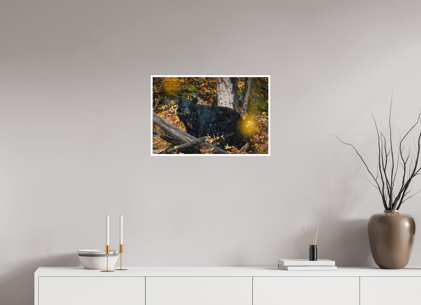 24 x 16″, Fine art print "Between Seasons" - Black Bear