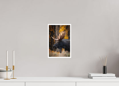 8 x 12″, Fine art print "The Wild One" - Bull moose