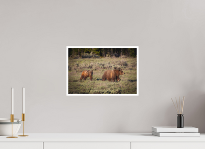 15 x 10″, Fine art print "Grizzly 399 & Spirit - Walking the Tetons"