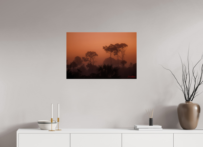 30 x 20″, Acrylic "First Light" - Big Cypress Sunrise