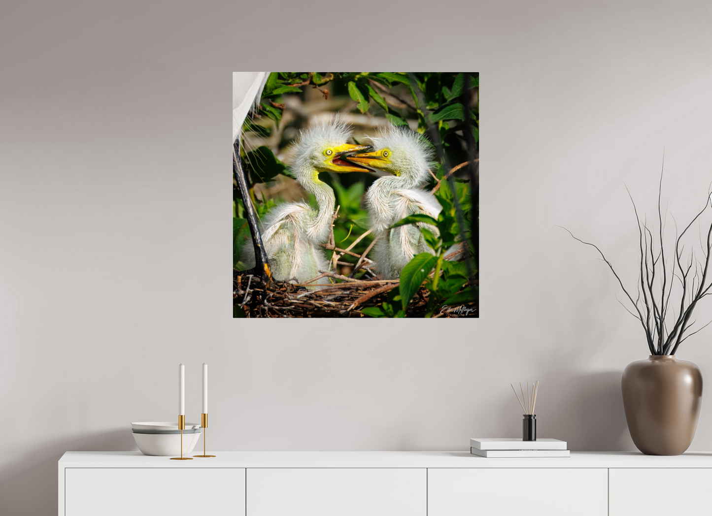 30 x 30″, Acrylic "Fluffy Dinosaurs" - Baby Great Egrets