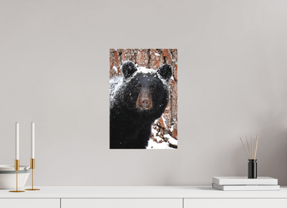 10 x 15″, Canvas "Smoky Mountain Gaze" - Black bear close-up