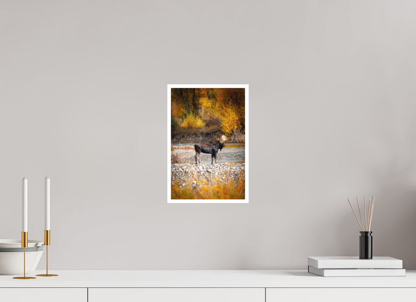 8 x 12″, Fine art print "King of the Colors" - Bull Elk, Gros Ventre River