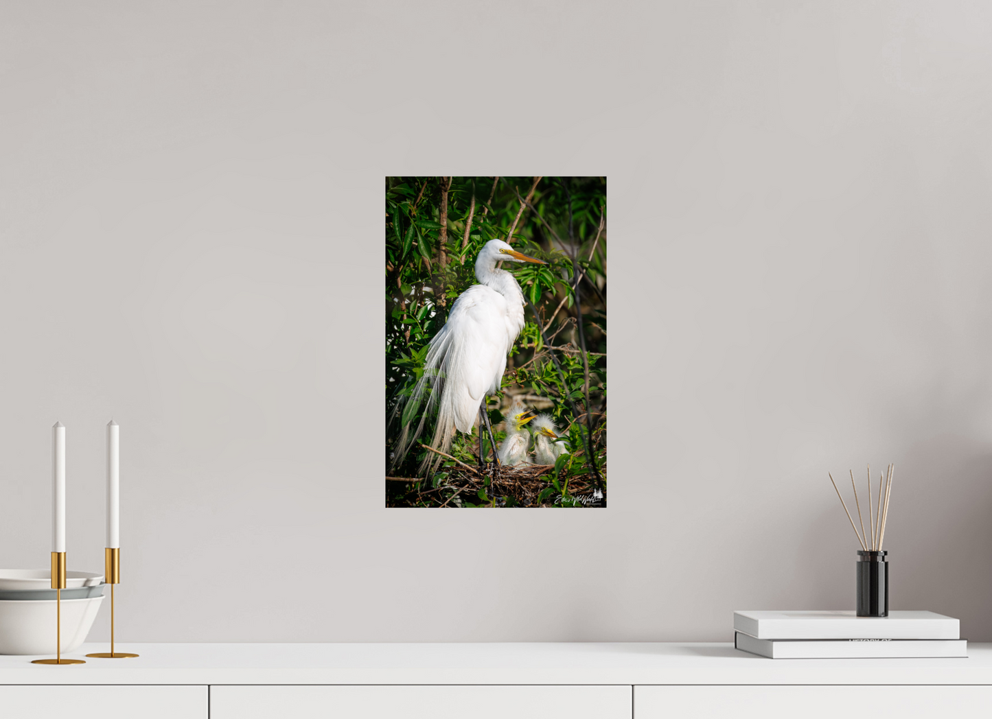 Great egret with chicks