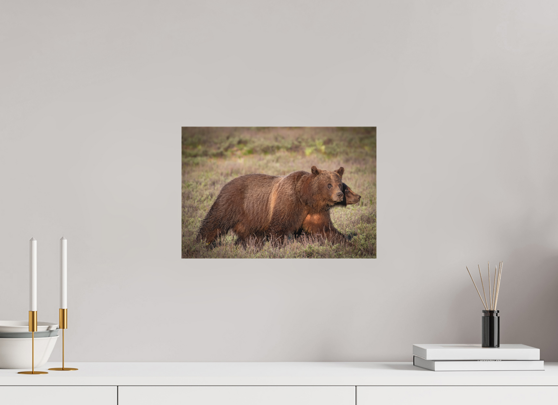 15 x 10″, Canvas "Grizzly 399 on the Move"