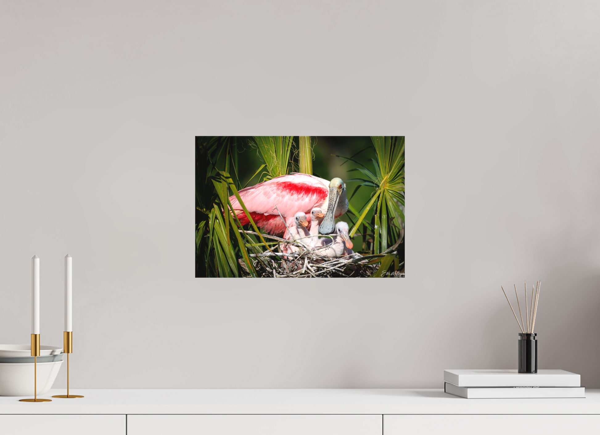 15 x 10″, Canvas "The Nest Above" - Spoonbills