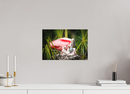 15 x 10″, Canvas "The Nest Above" - Spoonbills