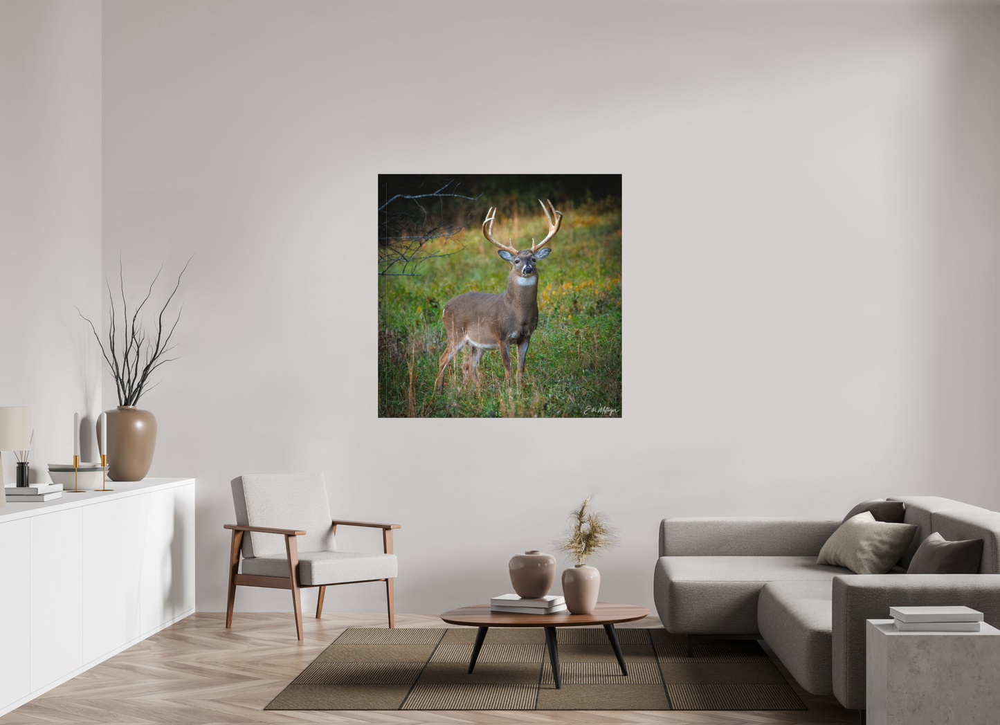 50 x 50″, Canvas "Majesty of the cove" - White-tailed Buck