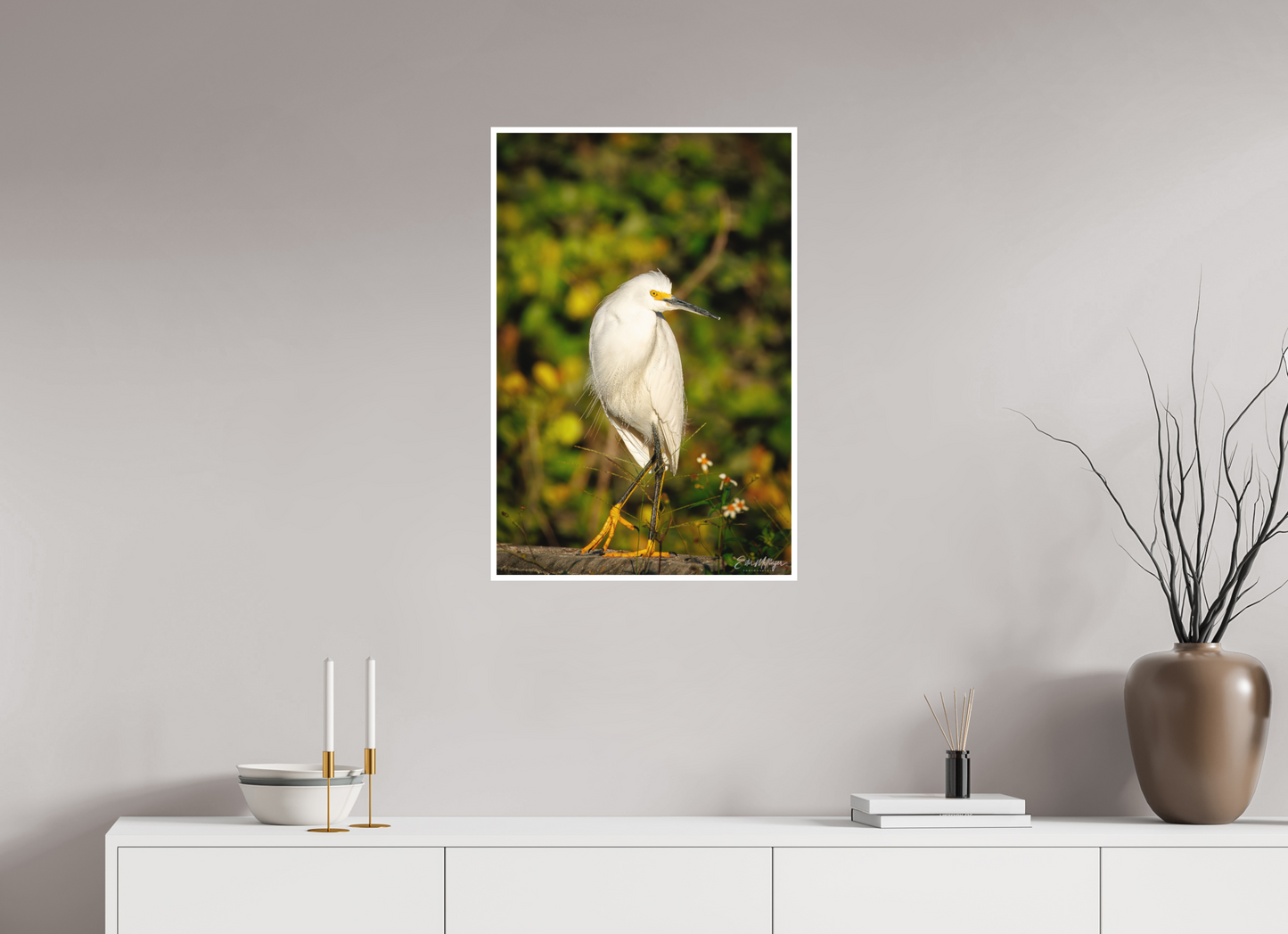 20 x 30″, Fine art print "Golden Light, White Silence" - Great Egret