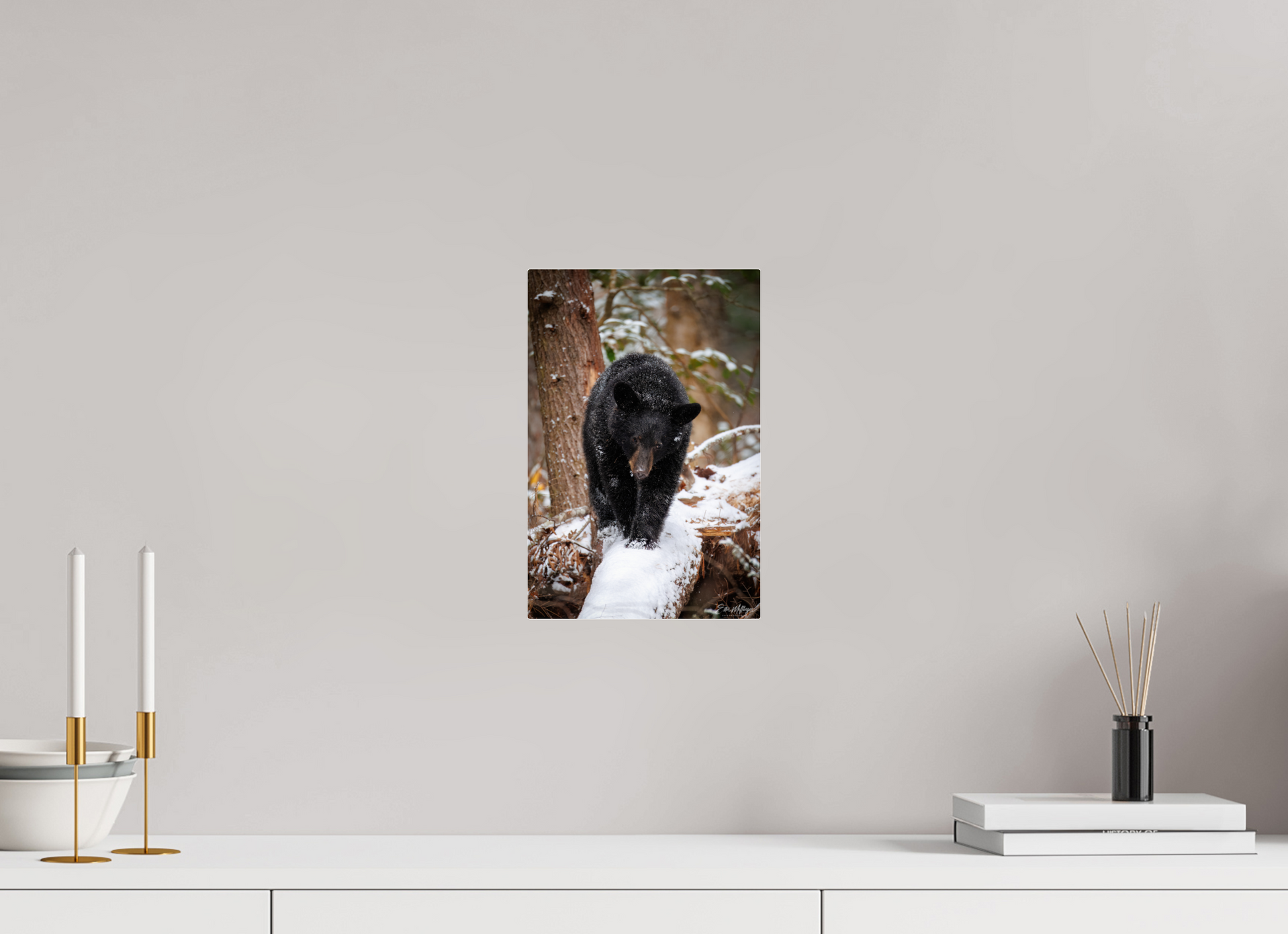 8 x 12″, Acrylic "Little Snow Walker" - Black Bear