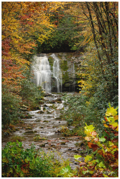 Main image "Autumn's Window" - Meigs Falls