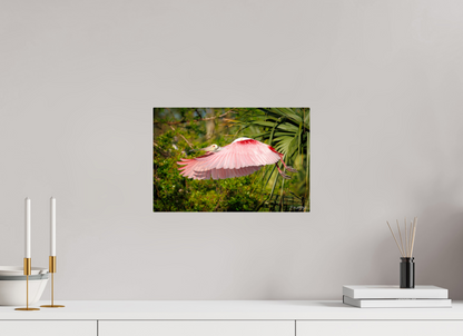 15 x 10″, Metal "Pink Passage" - Roseate Spoonbill