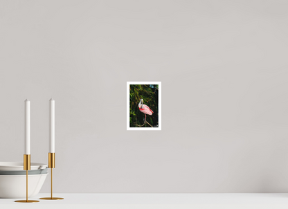 Preening spoonbill