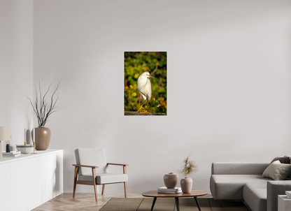 24 x 36″, Acrylic "Golden Light, White Silence" - Great Egret
