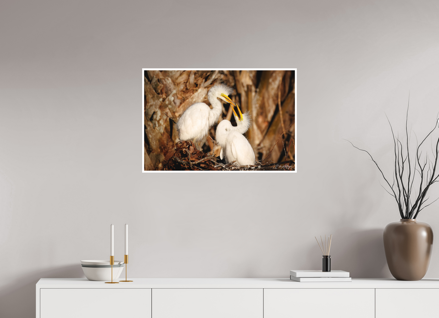 30 x 20″, Fine art print "Wetland Nursery" - Great Egrets