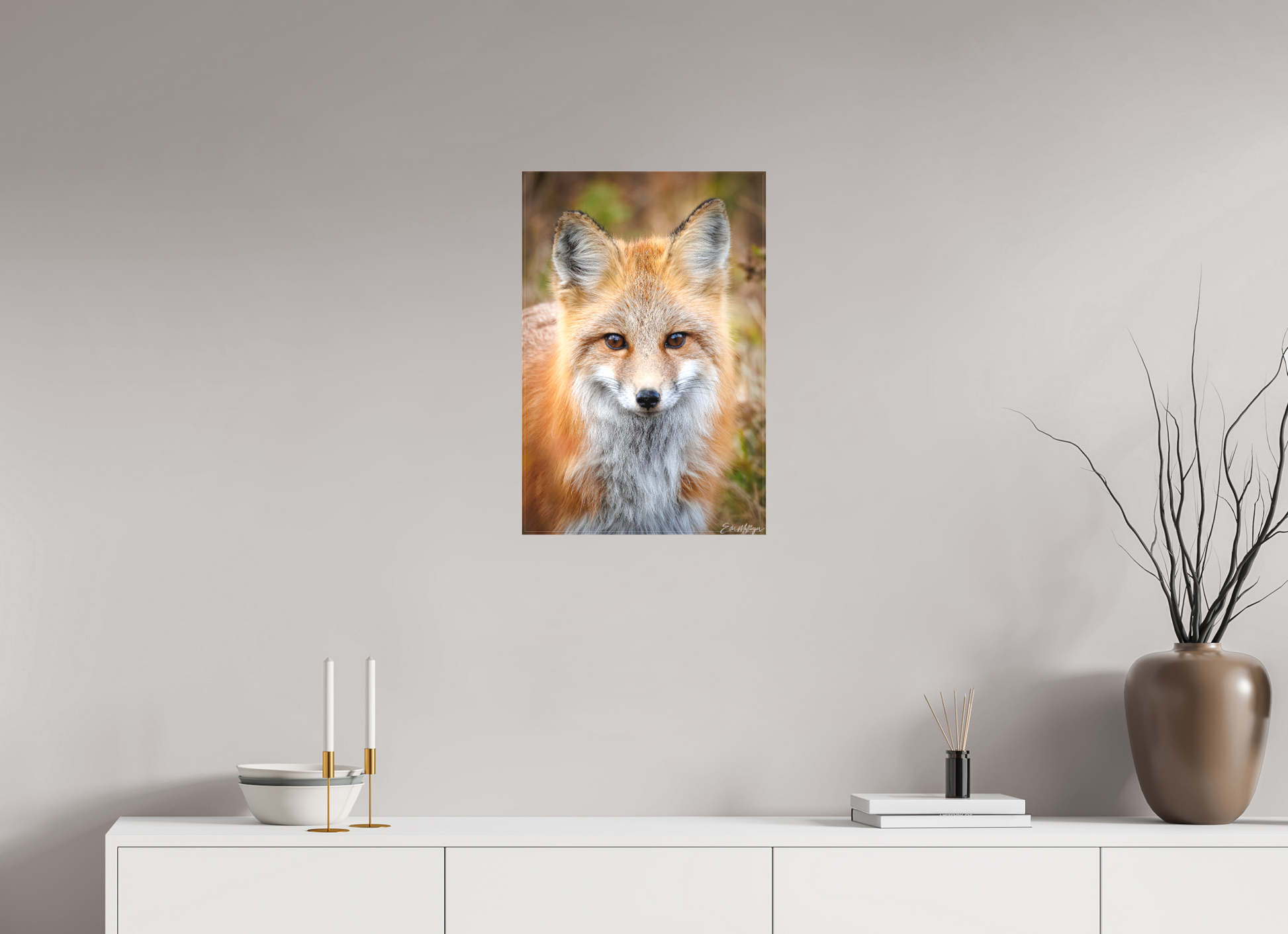 16 x 24″, Canvas "Face to Face" - Red Fox