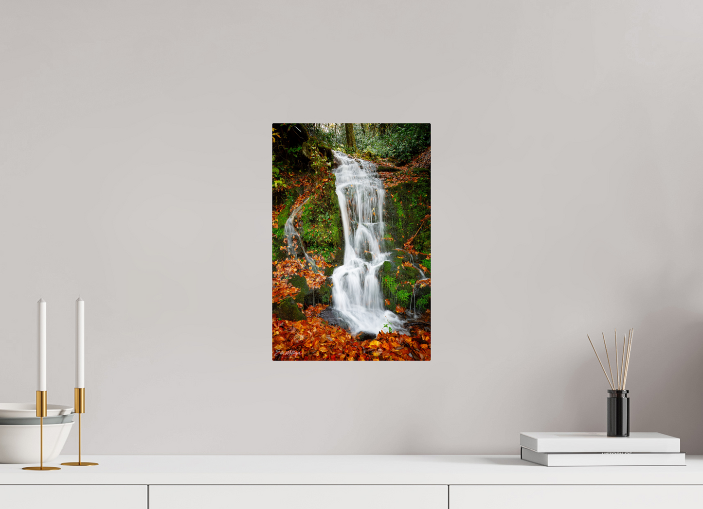 10 x 15″, Metal "Where the Forest Flows"