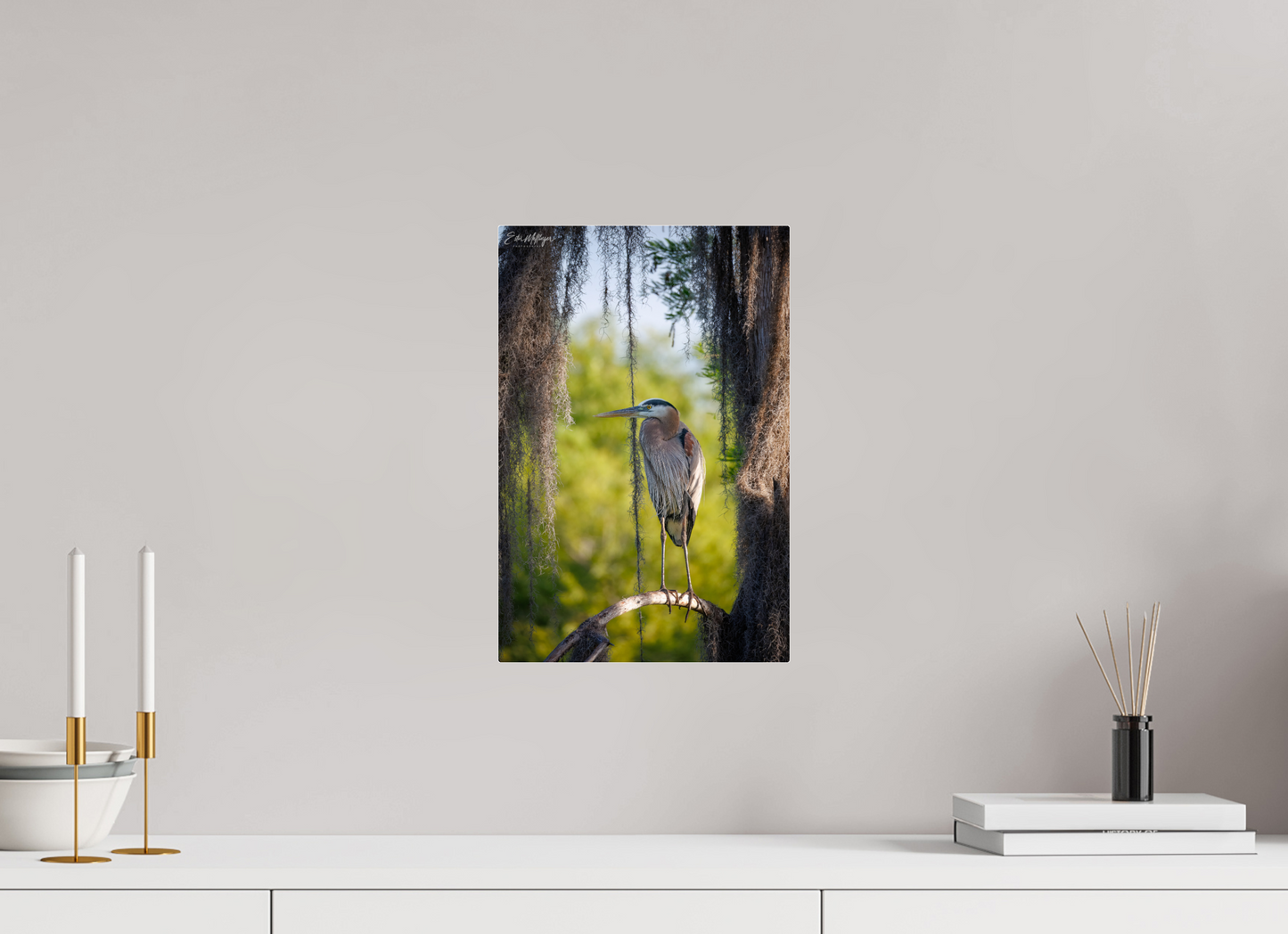 10 x 15″, Acrylic "Framed by the Moss" - Great Blue Heron