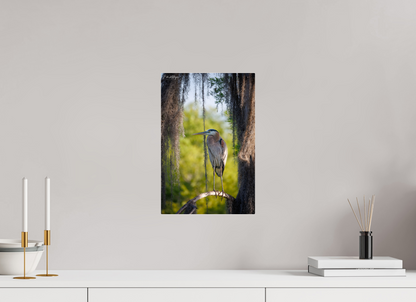 10 x 15″, Acrylic "Framed by the Moss" - Great Blue Heron