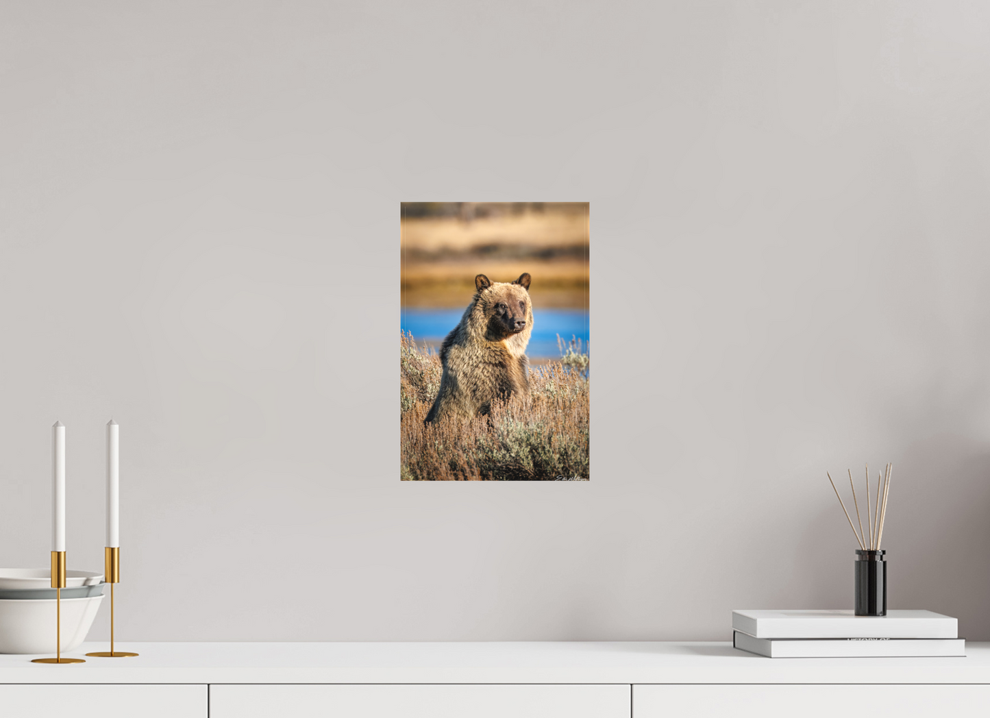 8 x 12″, Canvas "River Watch" - Grizzly Bear