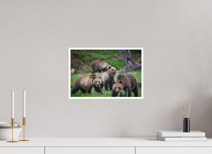 Grizzly family of four