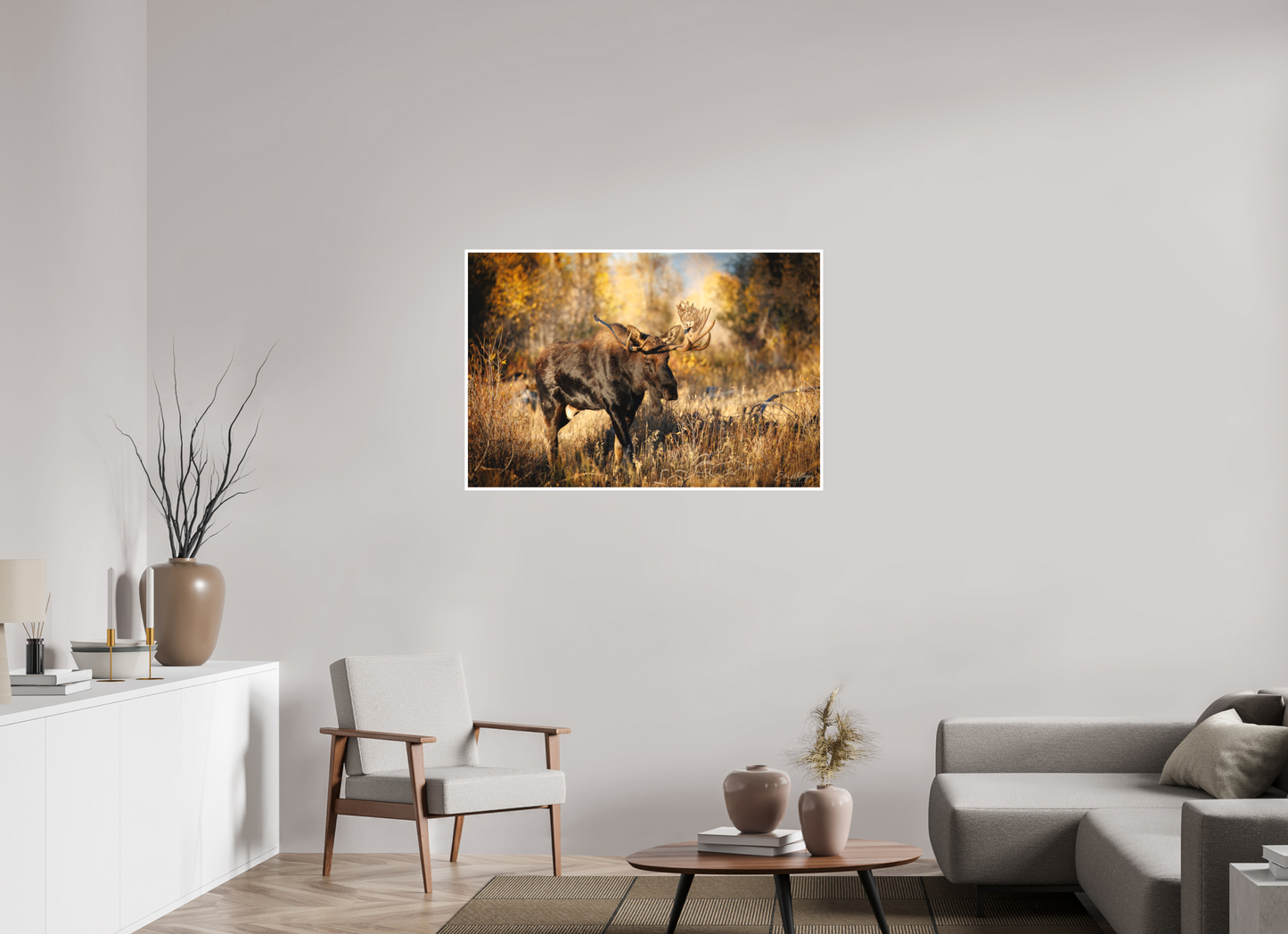 45 x 30″, Fine art print "Monarch of Gros Ventre" - Bull Moose