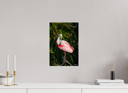 10 x 15″, Acrylic "Blush of the Wetlands" - Roseate Spoonbill