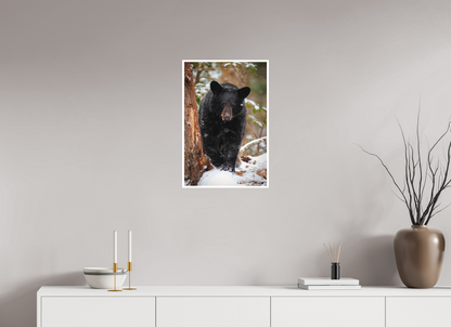 16 x 24″, Fine art print "Steps Through Snow" - Black Bear