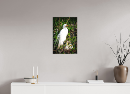 16 x 24″, Canvas "Family Moment" - Great Egrets