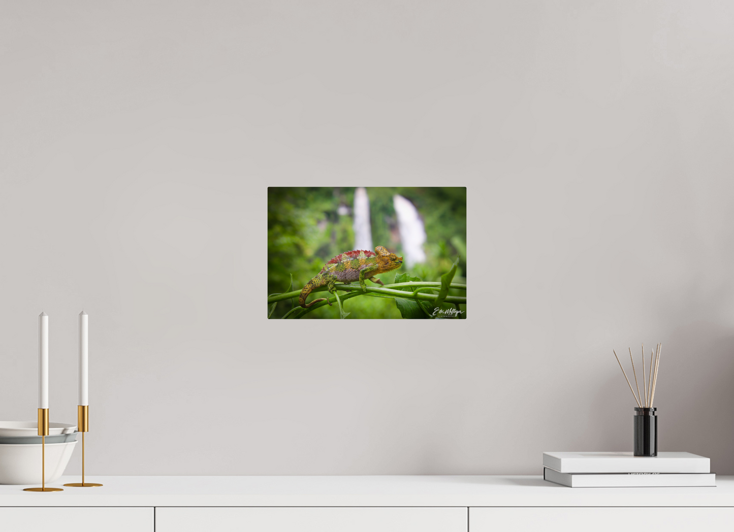 12 x 8″, Metal "Guardian of the Falls" - Chameleon in the Rainforest