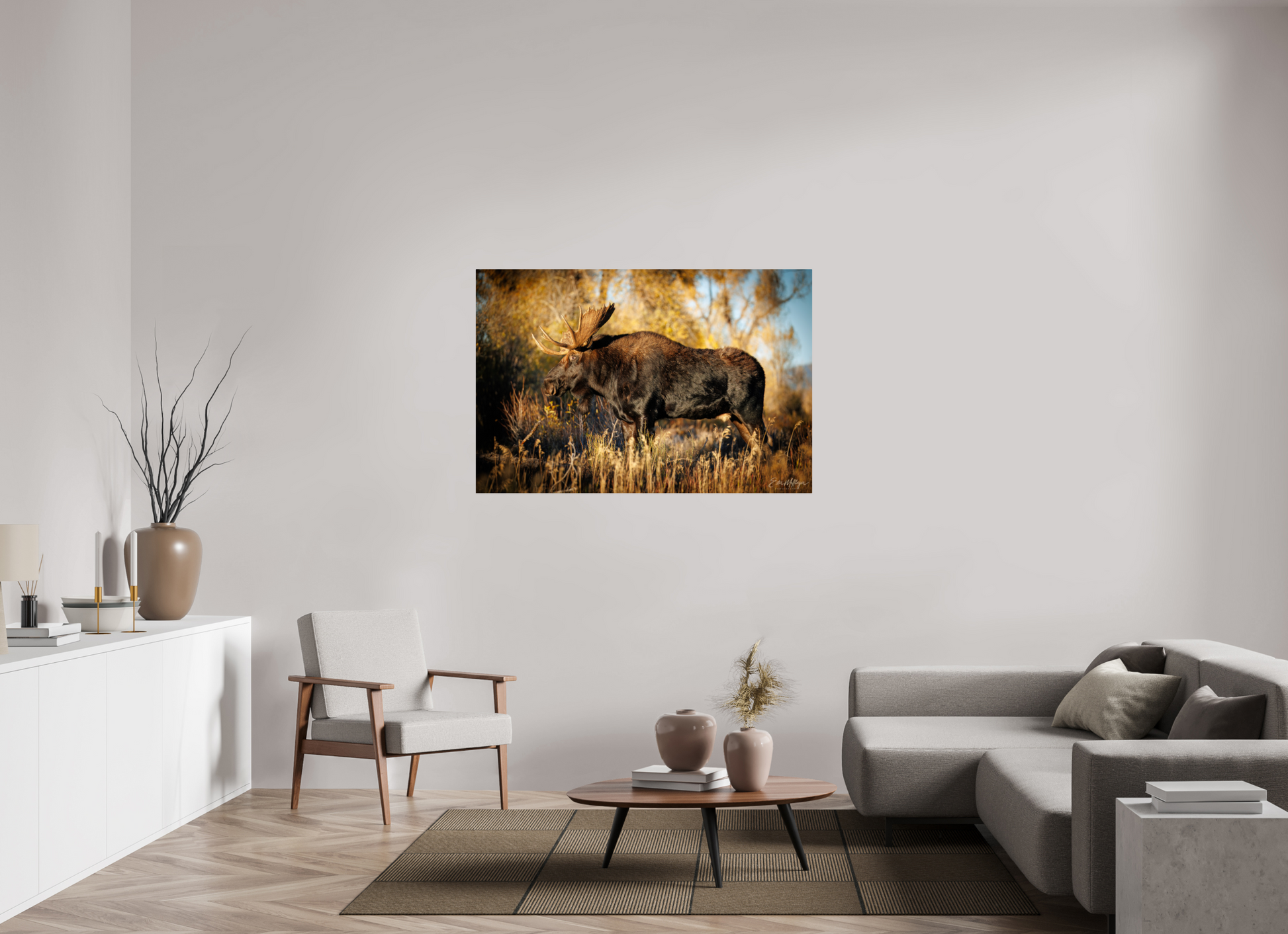 54 x 36″, Metal "Monarch of Gros Ventre - Presence" - Bull Moose