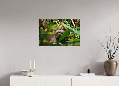 30 x 20″, Acrylic "Swamp Watcher" - American river otter