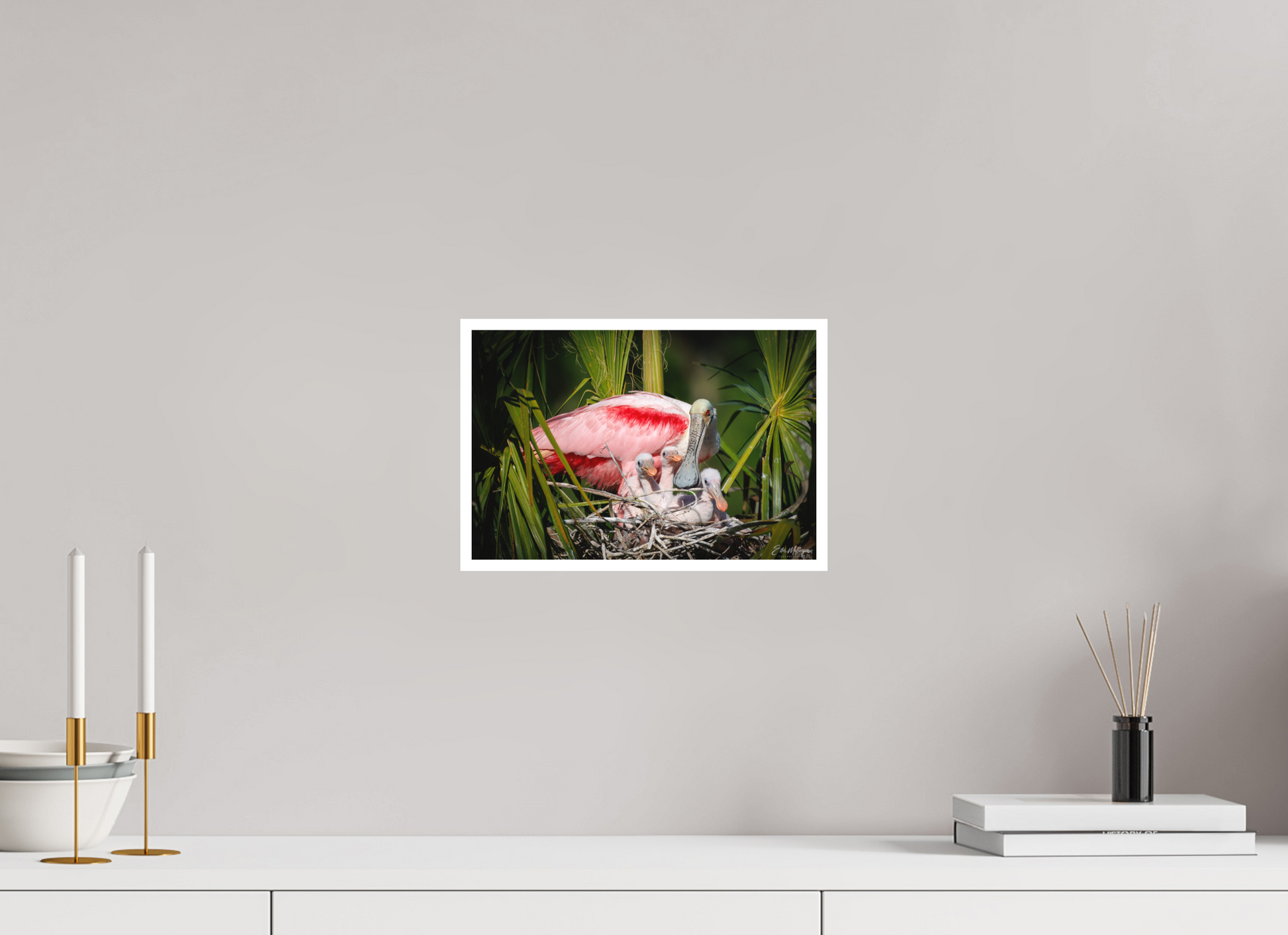 12 x 8″, Fine art print "The Nest Above" - Spoonbills