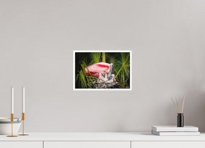 12 x 8″, Fine art print "The Nest Above" - Spoonbills
