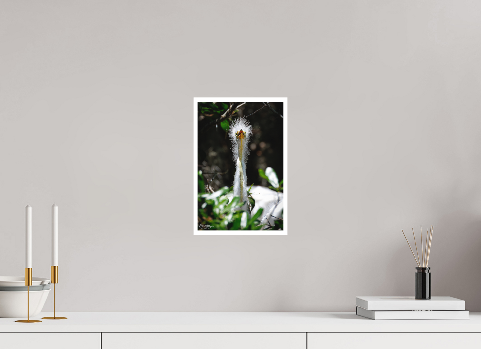 8 x 12″, Fine art print "Wetland Punk" - Great Egret