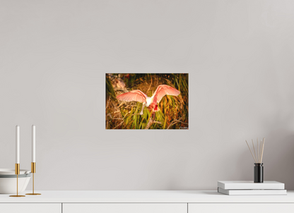 12 x 8″, Canvas "Golden Builder" - Roseate Spoonbill