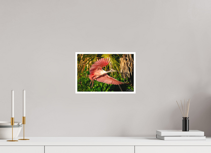 12 x 8″, Fine art print "Brushstrokes of Pink" - Roseate Spoonbill